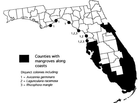 Florida Mangroves Map - AwesomeMangroves