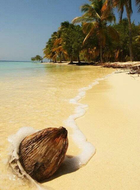 Venezuela | Beach, Beautiful beaches, Beautiful places