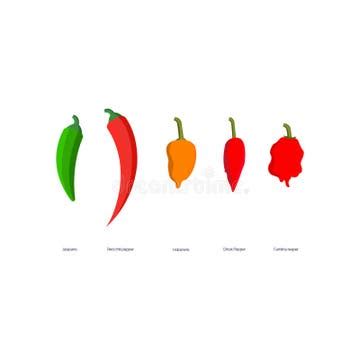 Ghost Pepper Stock Illustrations – 363 Ghost Pepper Stock Illustrations, Vectors & Clipart ...