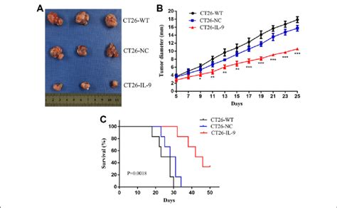 Tumor interleukin 9 (IL-9) exerts antitumor effects in vivo in the... | Download Scientific Diagram