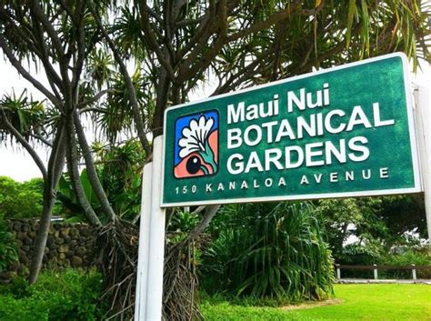 Maui Nui Botanical Gardens (Kahului) - All You Need to Know BEFORE You Go - Updated 2020 ...