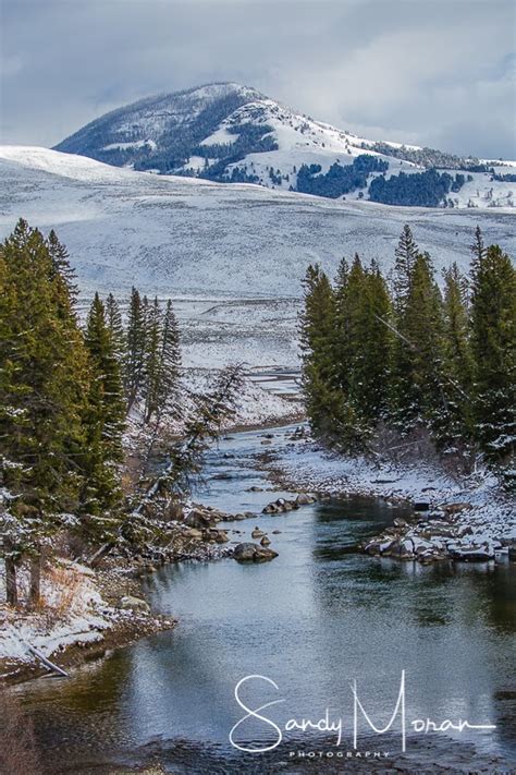 Winter in Yellowstone – Wandering Under the Stars