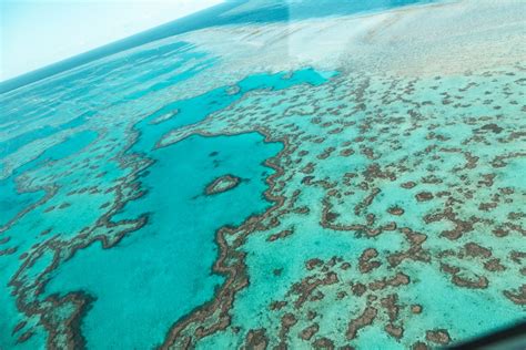 Conservation Efforts on the Great Barrier Reef - Sailing Whitsundays