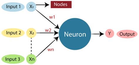 Artificial Neural Network Tutorial - Javatpoint - EU-Vietnam Business Network (EVBN)