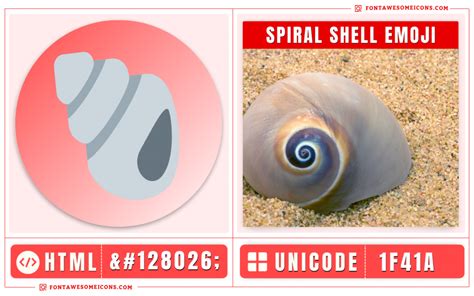 Spiral Shell Emoji Copy Paste, Meaning | Unicode