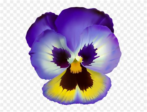 20 Quick Tips For Pansy Flower Svg | Pansies flowers, Violet flower ...