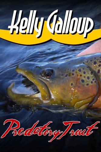 Scott Hopper's blog: KELLY GALLOUP STREAMERS CHANGED MY THINKING