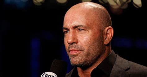 Joe Rogan Has A Solution For MMA's Judging Problem... And It's A GOOD One - MMA Imports