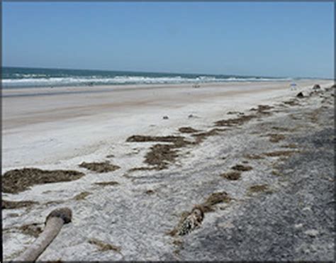 Little Talbot Island State Park - Ft. George, Florida