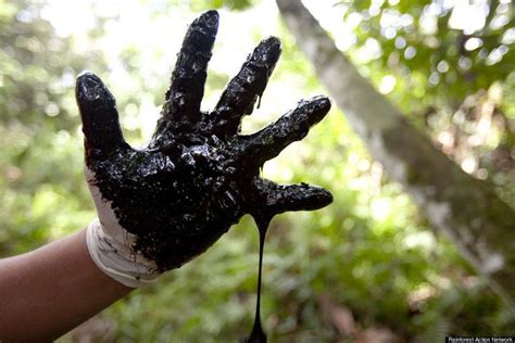 Chevron Ordered By Ecuador Court To Pay $8 Billion | HuffPost Impact