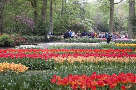 Famous Dutch flower park editorial stock image. Image of people - 52200829