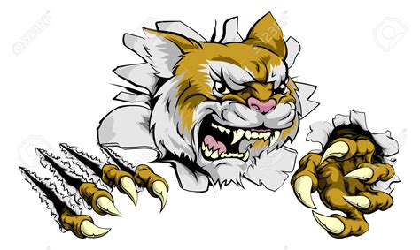 Wildcat Clipart Free | Free download on ClipArtMag