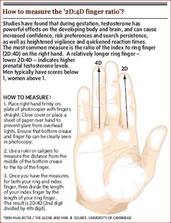 Melton man claims: ‘finger length saved my life’! | Finger length & DIGIT RATIO hand news!