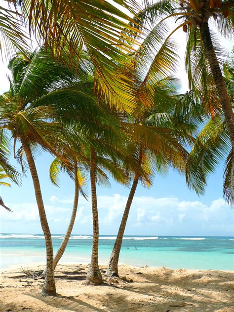 Amazing Guadeloupe - http://www.travelandtransitions.com/destinations ...