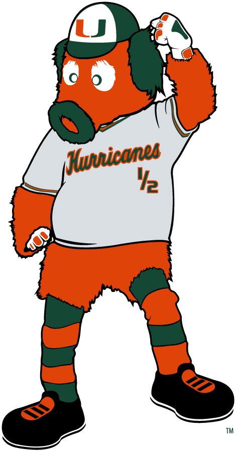 Custom Name And Number Miami Hurricanes Men's Basketball Mascot