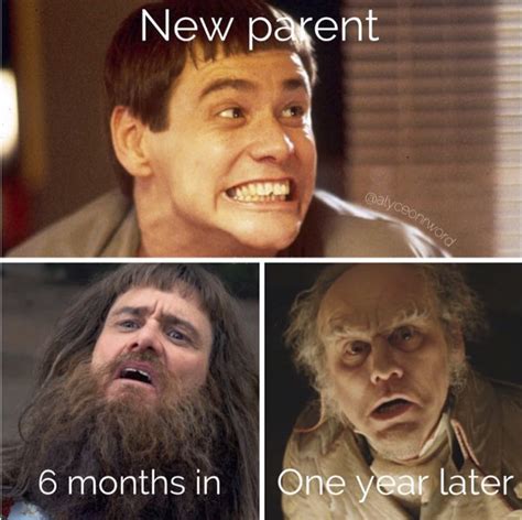 Painfully Funny Funny Memes About Parenting / Slow and steady funny memeslow and steady wins the ...