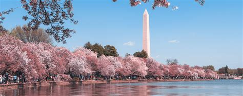 Can't-Miss Spring Events in Washington, DC