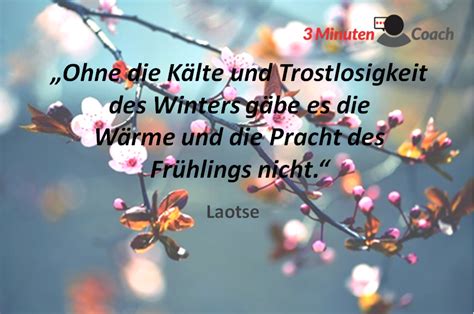 Zitat des Tages: Freue dich schon auf den Frühling! • 3MinutenCoach