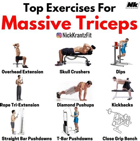 6 Best Triceps Workouts - Unleash New Arms Growth - GymGuider.com ...