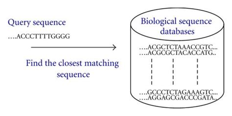 Pairwise sequence alignment, for example, DNA. | Download Scientific Diagram