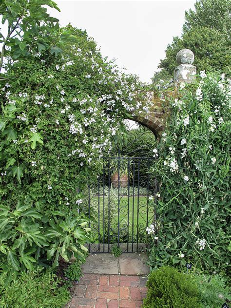 Garden With Wrought Iron Gate Photograph by Klaus Arras - Fine Art America