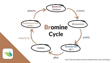 Understanding Bromine Pools and Spas