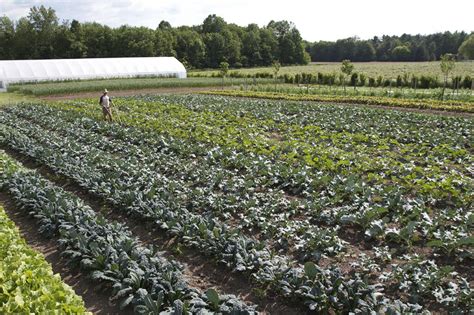 Market Gardening: 1.5 Acre Farming For Profit - Permaculture Apprentice