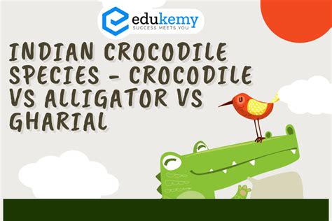 Indian Crocodile Species - Crocodile vs Alligator vs Gharial