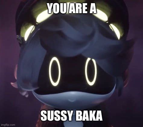 You are a Sussy Baka Memes - Imgflip