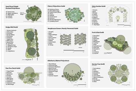 Polyculture Design | Permaculture gardening, Food forest garden ...