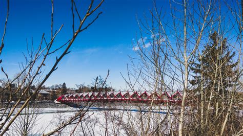 Peace Bridge Explored – Yolandie Horak