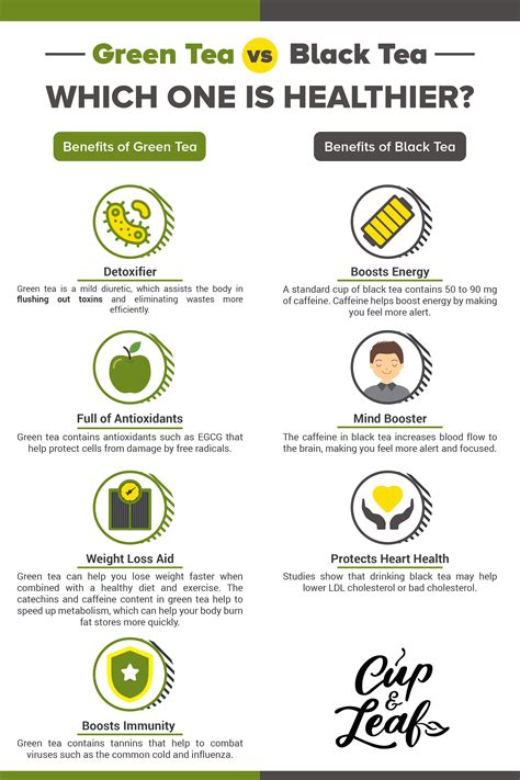 Caffeine In Coffee Vs Green Tea – Idalias Salon