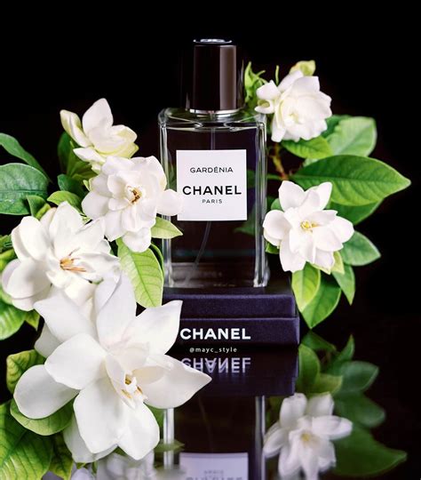 Chanel Gardenia Fragrance | Gardenia fragrance, Chanel fragrance, Fragrance