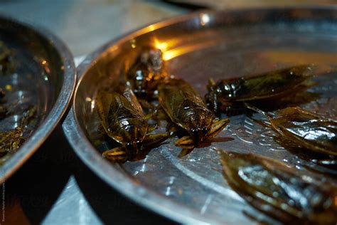 «Edible Bugs And Insects At A Night Market In Cambodia» del colaborador de Stocksy «Rowena ...