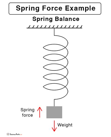 Spring Force: Definition, Formula, and Examples