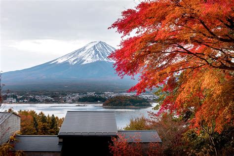 Where to Go Leaf-Peeping to See Fall Foliage in Japan