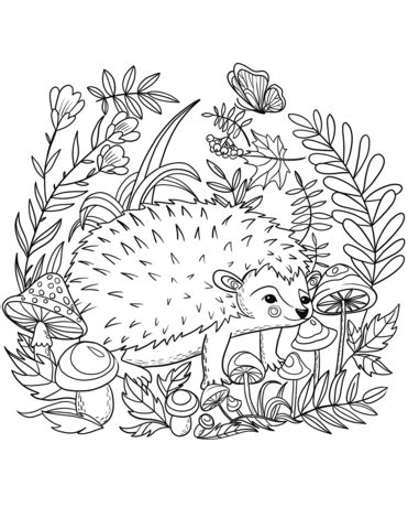 Hedgehog coloring page | Free Printable Coloring Pages