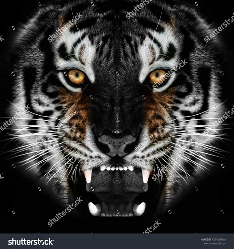 Angry Tiger Face Wallpaper Stock Photo 1321800986 | Shutterstock