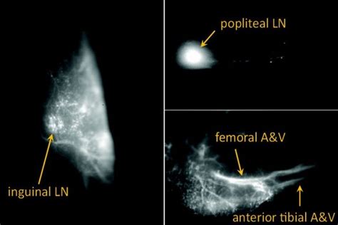 A single-photon source you can make with household bleach