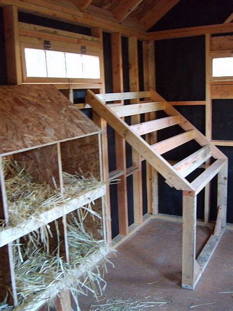 Laying boxes and sleeping latter. The staggered latter prevents hens from soiling one another ...