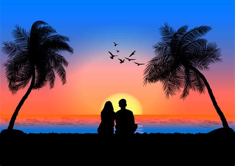 Download Couple Sunset Palm Tree Beach With Birds Picture | Wallpapers.com