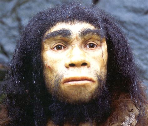 Dirk Drubbel: De weg naar Homo sapiens (deel 6 : De Homo heidelbergensis)