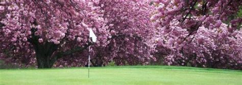 Mountain View Golf Course Tee Times - West Trenton NJ