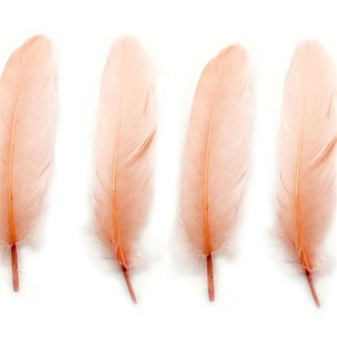 Peach Goose Feathers