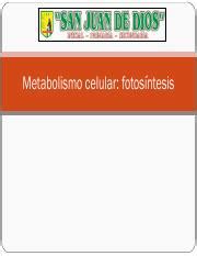 metabolismo celular fotosintesis clase.pdf - Metabolismo celular: fotosíntesis Definición Tipos ...