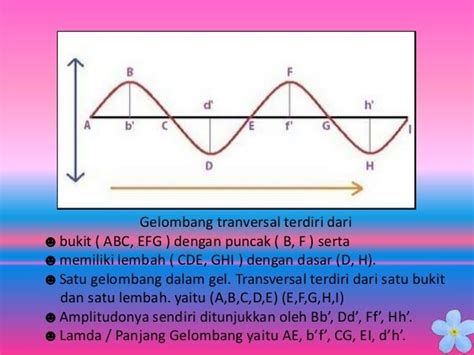 Contoh Gelombang Transversal Dalam Kehidupan Sehari Hari – Berbagai Contoh