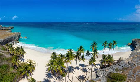 Stock gathering at Bottom Bay | recent drone aerial work from Above Barbados | Beach, Landscape ...