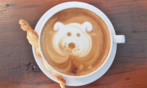 The Cutest Latte Art Dogs of Instagram | Extra Crispy