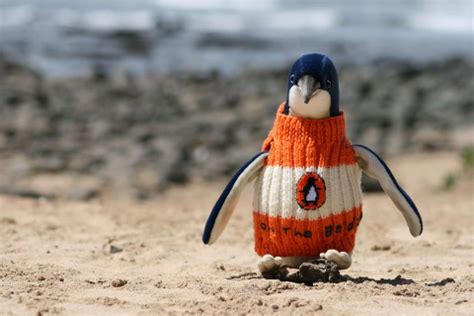 See Penguins Wearing Tiny "Penguin Books" Sweaters, Knitted by the ...