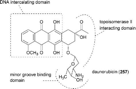 Structure of daunorubicin with its three functional subunits. | Download Scientific Diagram